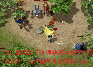 雪山秘境新手如何快速掌握简单实用技巧?五大秘诀助你轻松闯关 雪山秘境新手如何快速掌握简单实用技巧?五大秘诀助你轻松闯关