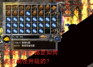 ��������Ҷ�����θ�Чˢ�������ģ�