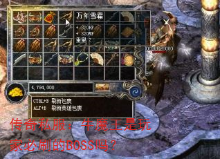 ����˽����ţħ������ұ�ˢ��BOSS��