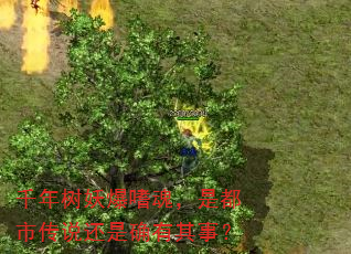 ǧ���������Ȼ꣬�Ƕ��д�˵����ȷ�����£�