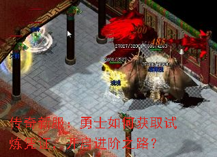 �����·�����ʿ��λ�ȡ����ƾ֤����������֮·��
