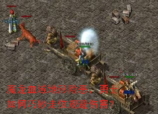 ħ��Ѫ������ն���ʿ���������λ����˺���