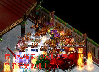 ����˽����ǿְҵ����ƽƽ����ĵ�ʿ��