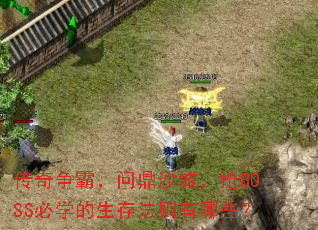 �������ԣ��ʶ�ɳ�ǣ���BOSS��ѧ�����淨������Щ��