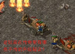 ������ڴ���������Щ�����������ؾ���