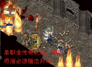��ְҵ������ң����������붮��ʦ��
