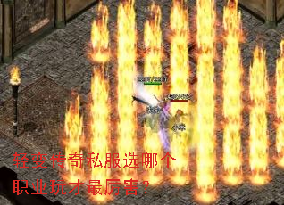 ��䴫��˽��ѡ�ĸ�ְҵ�����������
