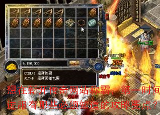 �����¿�������վ�ưԣ���һʱ���������Щ����֪���Ĺ���Ҫ�㣿