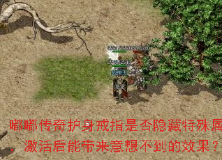 �ུ��滤����ָ�Ƿ������������ԣ�������ܴ������벻����Ч����