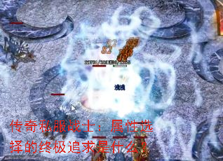 ����˽��սʿ������ѡ����ռ�׷����ʲô��