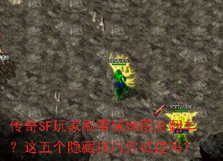 ����SF���ˢѩ���ͼ�ܷ�������������ؼ������Թ���