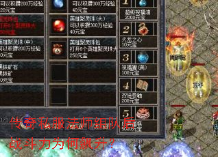 ����˽����ʦ��Ӻ�ս����Ϊ�������