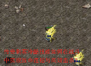����̿���Ἴ�������ս����ʵ�������������Ч��ɱ��