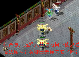 ���淨ʦѡ������ʱΪ�β���ֻ��ħ�����ԣ��ؼ��������������
