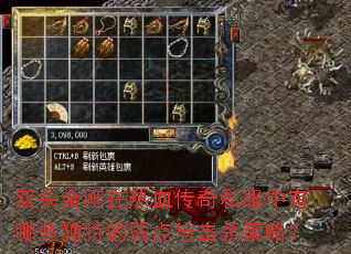 ˫ͷ�������Ѫ����˽��������Щ���ص��������ɱ���ԣ�