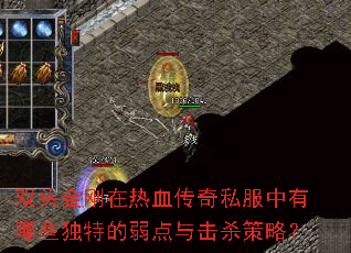 ˫ͷ�������Ѫ����˽��������Щ���ص��������ɱ���ԣ�