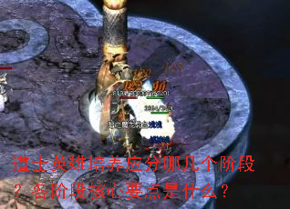 ��ʿӢ������Ӧ���ļ����׶Σ����׶κ���Ҫ����ʲô��