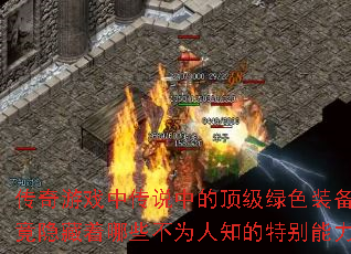 ������Ϸ�д�˵�еĶ�����ɫװ��������������Щ��Ϊ��֪���ر�������