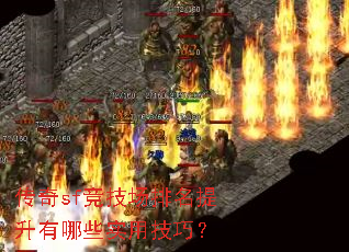 ����sf������������������Щʵ�ü��ɣ�
