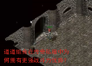 ��������ڴ���˽����Ϊ��ӵ�и�ǿս�������ƣ�