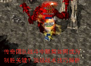 �����Ŷ�ս����Ĭ����γ�Ϊ��ʤ�ؼ�������ս�����ɽ���