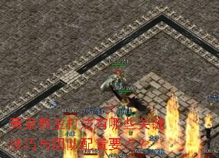 ��Ȫ����������Щ�ؼ��������Ŷ�����Ҫ�㣿