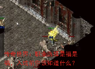 �������磺ְҵѡ���Ǹ��ǻ������ǰ���֪��ʲô��