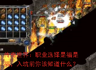 �������磺ְҵѡ���Ǹ��ǻ������ǰ���֪��ʲô��