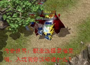 �������磺ְҵѡ���Ǹ��ǻ������ǰ���֪��ʲô��