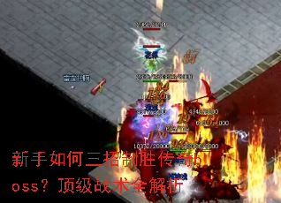 �������������ʤ����boss������ս��ȫ����