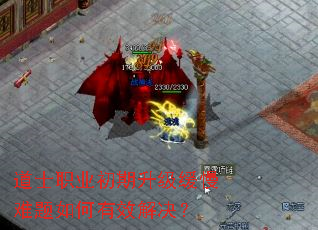 ��ʿְҵ���������������������Ч�����