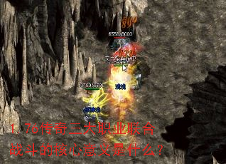 1.76��������ְҵ����ս���ĺ���������ʲô��