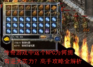 ������Ϸ�����NPCΪ��ӵ������ʵ�������ֹ���ȫ����