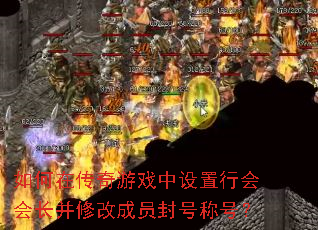 ����ڴ�����Ϸ�������л�᳤���޸ĳ�Ա��ųƺţ�