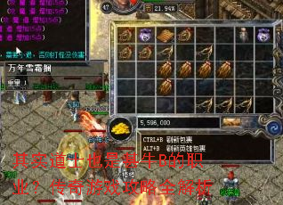 ��ʵ��ʿҲ����ţB��ְҵ��������Ϸ����ȫ����