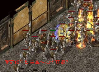 ����15��ѫ��������λ�ȡ��