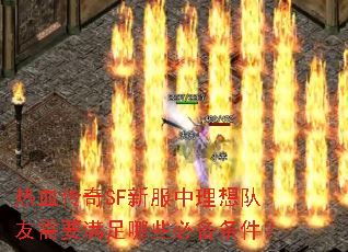 ��Ѫ����SF�·������������Ҫ������Щ�ر�������