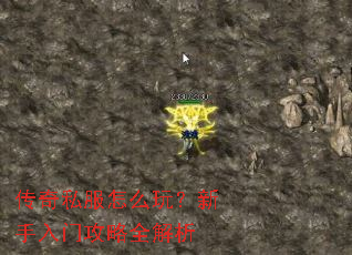 ����˽����ô�棿�������Ź���ȫ����