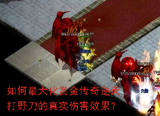 �������ͽ��������Ұ������ʵ�˺�Ч����