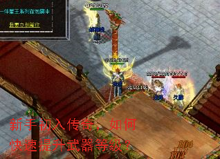 ���ֳ��봫�棬��ο������������ȼ���