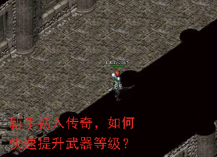 ���ֳ��봫�棬��ο������������ȼ���