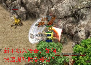 ���ֳ��봫�棬��ο������������ȼ���