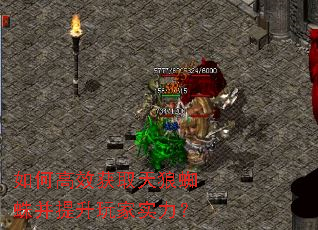 ��θ�Ч��ȡ����֩�벢�������ʵ����