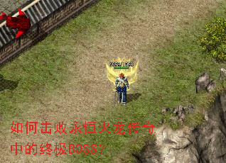 ��λ���������������е��ռ�BOSS��