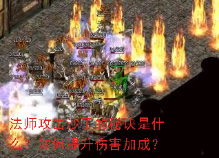 ��ʦ����ɳ�ӵ��ؾ���ʲô����������˺��ӳɣ�
