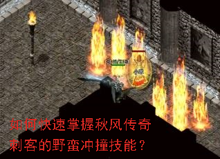 ��ο���������紫��̿͵�Ұ����ײ���ܣ�
