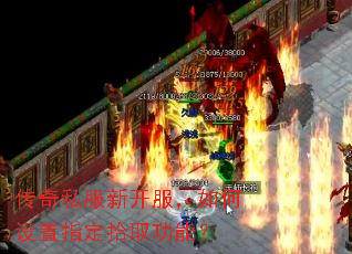 ����˽���¿������������ָ��ʰȡ���ܣ�