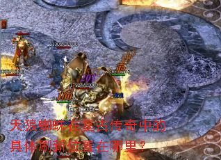 ����֩���ڸ��Ŵ����еľ���ˢ��λ�������