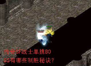 ����SFսʿ����BOSS����Щ��ʤ�ؾ���