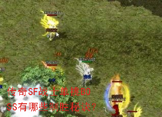 ����SFսʿ����BOSS����Щ��ʤ�ؾ���